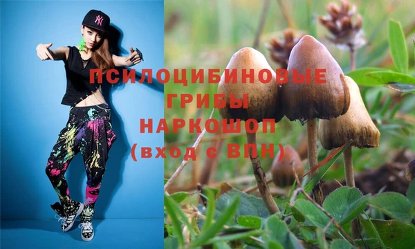 гашиш Абаза