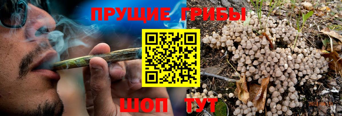 Галлюциногенные грибы прущие грибы Якутск